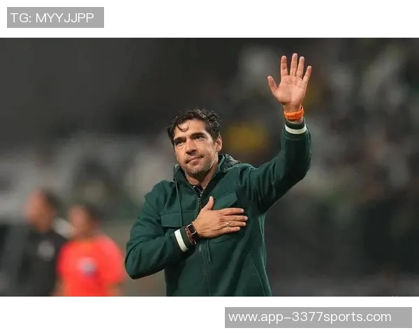 巴甲联赛历史夺冠次数统计帕尔梅拉斯领先弗拉门戈紧随其后 巴甲联赛历史夺冠次数统计帕尔梅拉斯领先弗拉门戈紧随其后